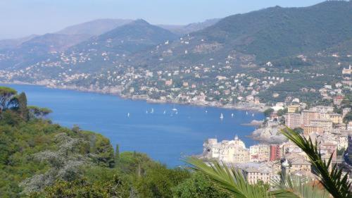 Villa Rosmarino Камольи Экстерьер фото